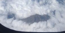 Nelson 2014 in 