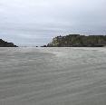 Nelson 2014 in 