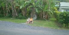 Rarotonga - May 2013 in 