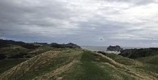 Nelson 2014 in 