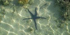 Rarotonga - May 2013 in 