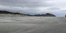 Nelson 2014 in 